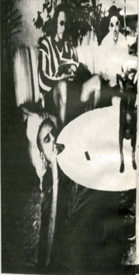 The band Tool